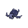 Shadow Tirtouga (Fossil)
